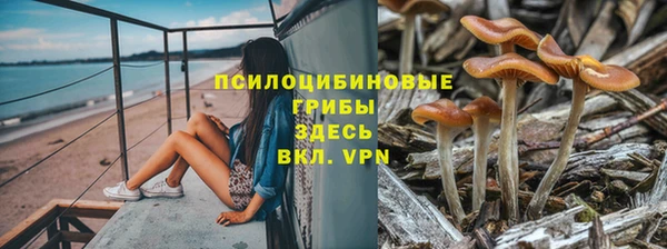 каннабис Пересвет